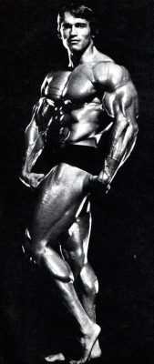 Arnold Schwarzenegger pic #322490
